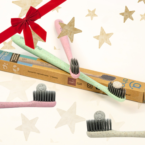 PACK 4 cepillos mix colores